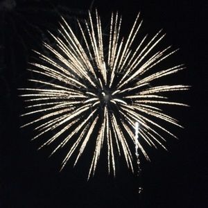 Meet your Posher, Donald